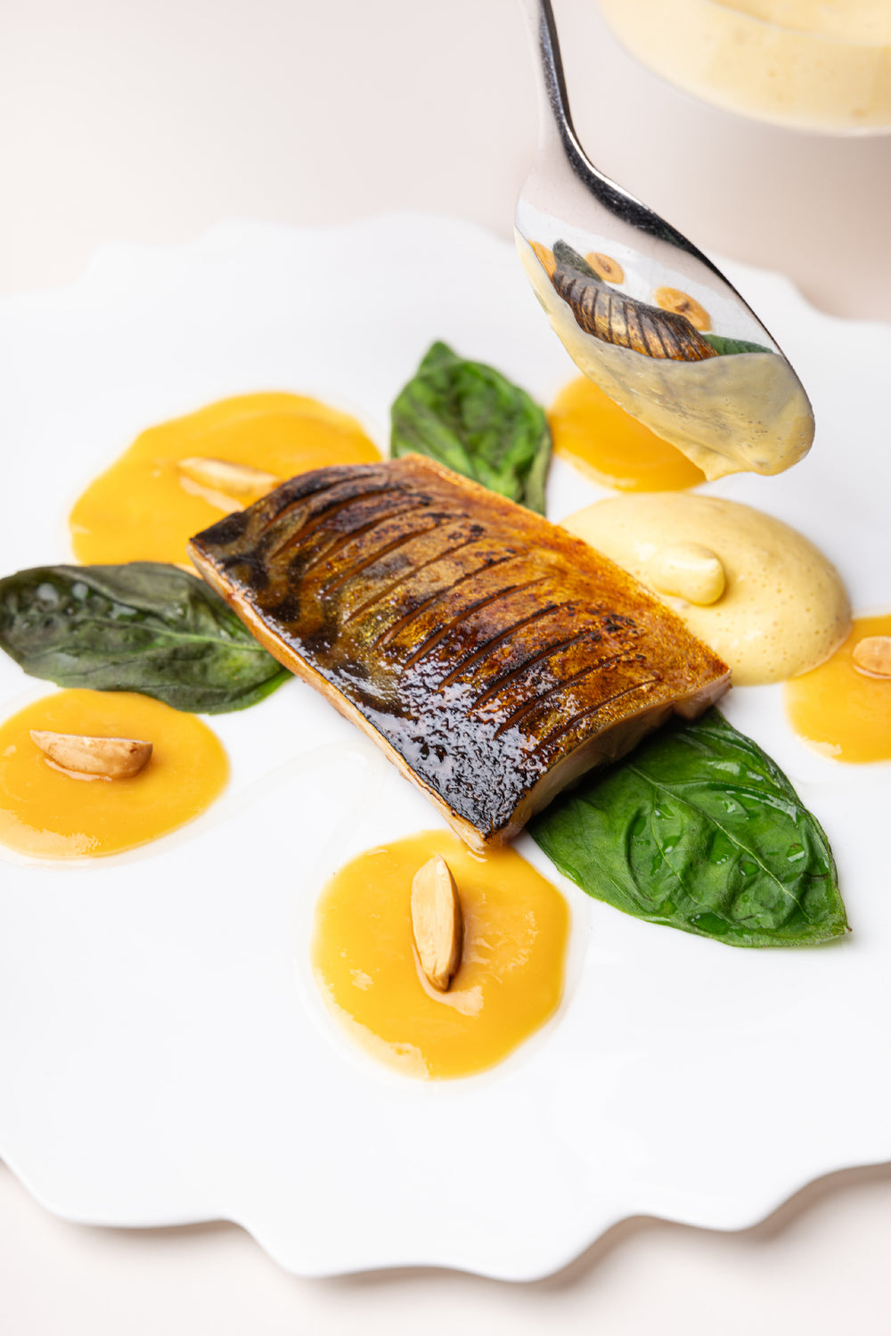7-course tasting menu and food and wine pairing